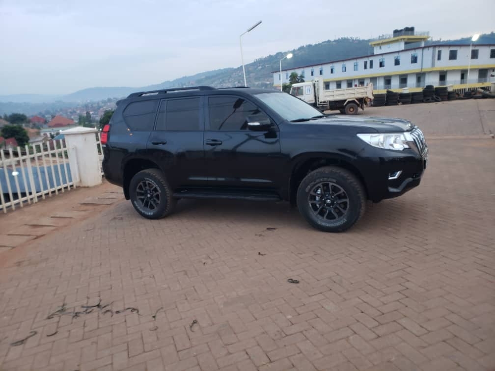 Bere 309 YC: Txl is available for sale